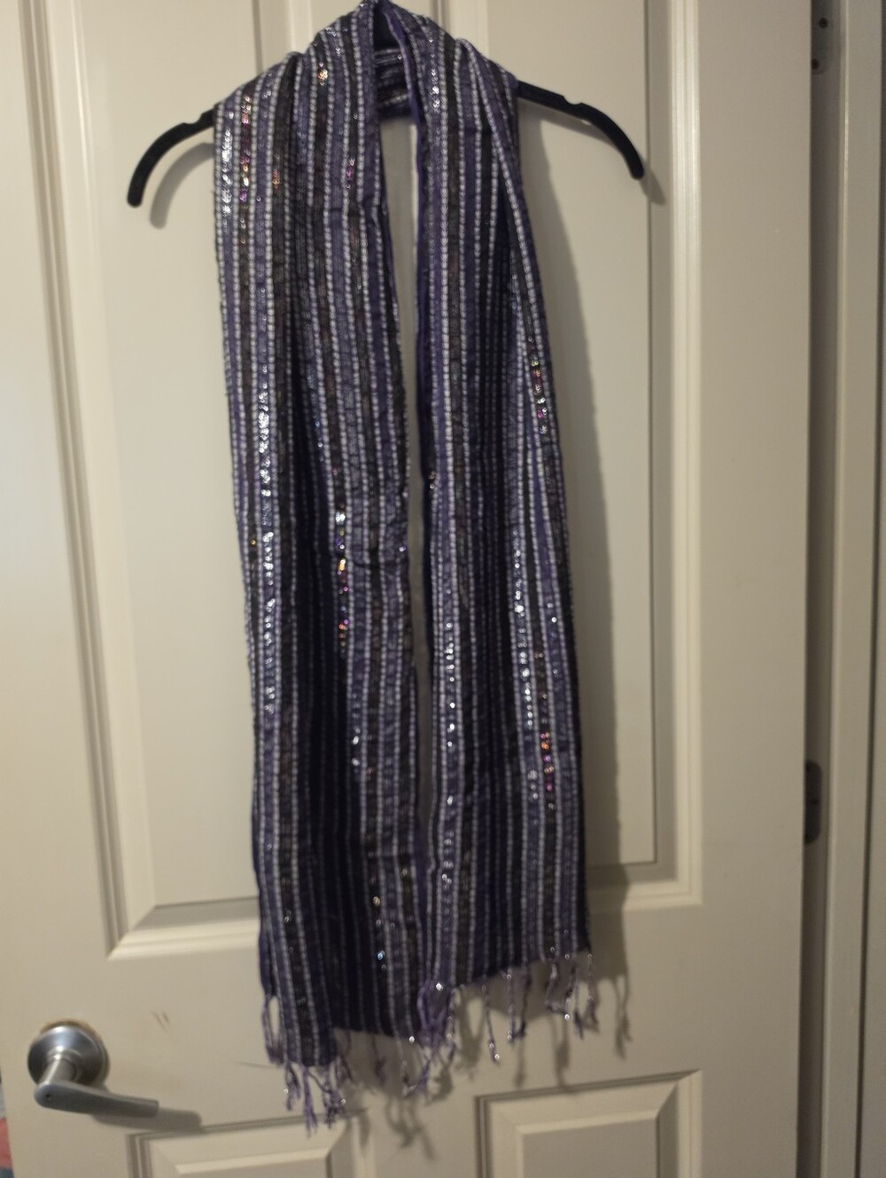Sequined Purple Stripe Women’s Scarf